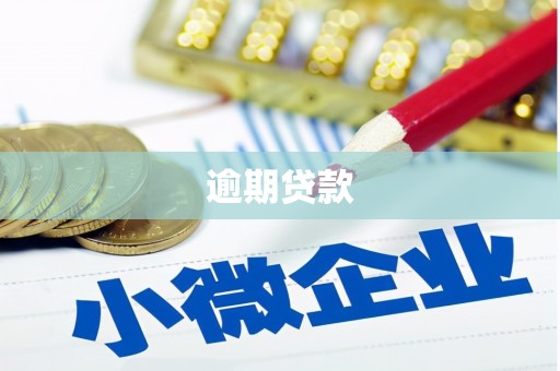 博野逾期贷款